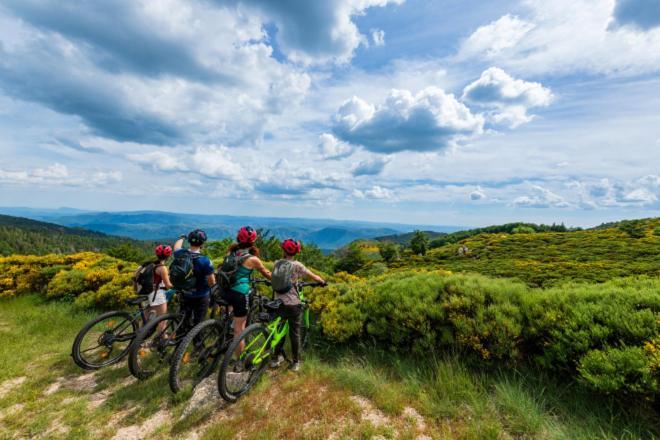 Gite L'Or Des Cevennes Saint-Andre-Capceze Bagian luar foto
