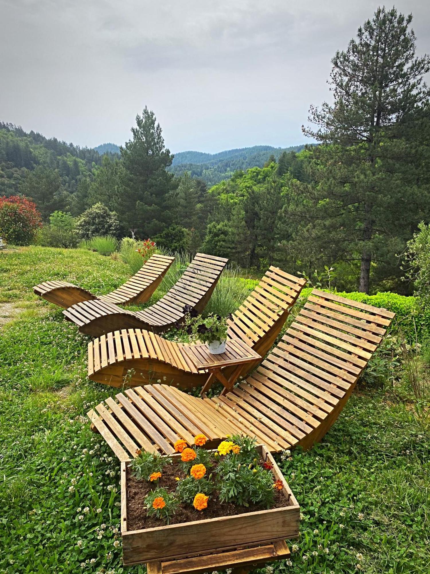 Gite L'Or Des Cevennes Saint-Andre-Capceze Bagian luar foto